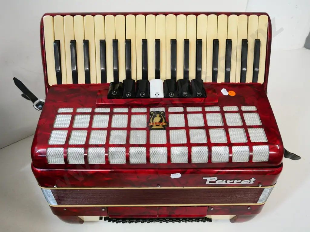 Parrot piano accordion with hard case - case has wear and tear Image 1++