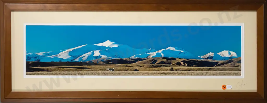 framed Graeme Atkinson photographic print "The Maniototo in winter" H-150 W-640 Image 1++