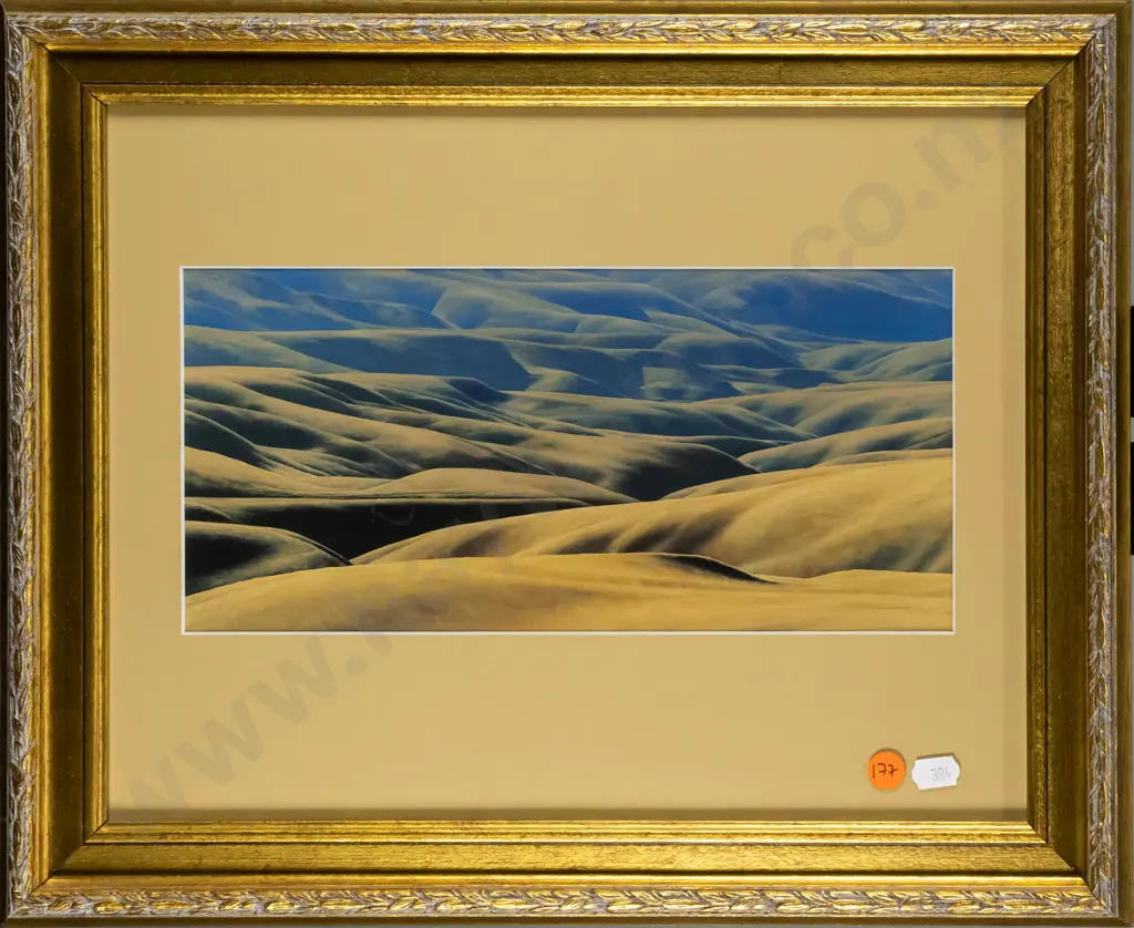 gilt framed Grahame Sydney print - hills H-135 W-280 Image 1++