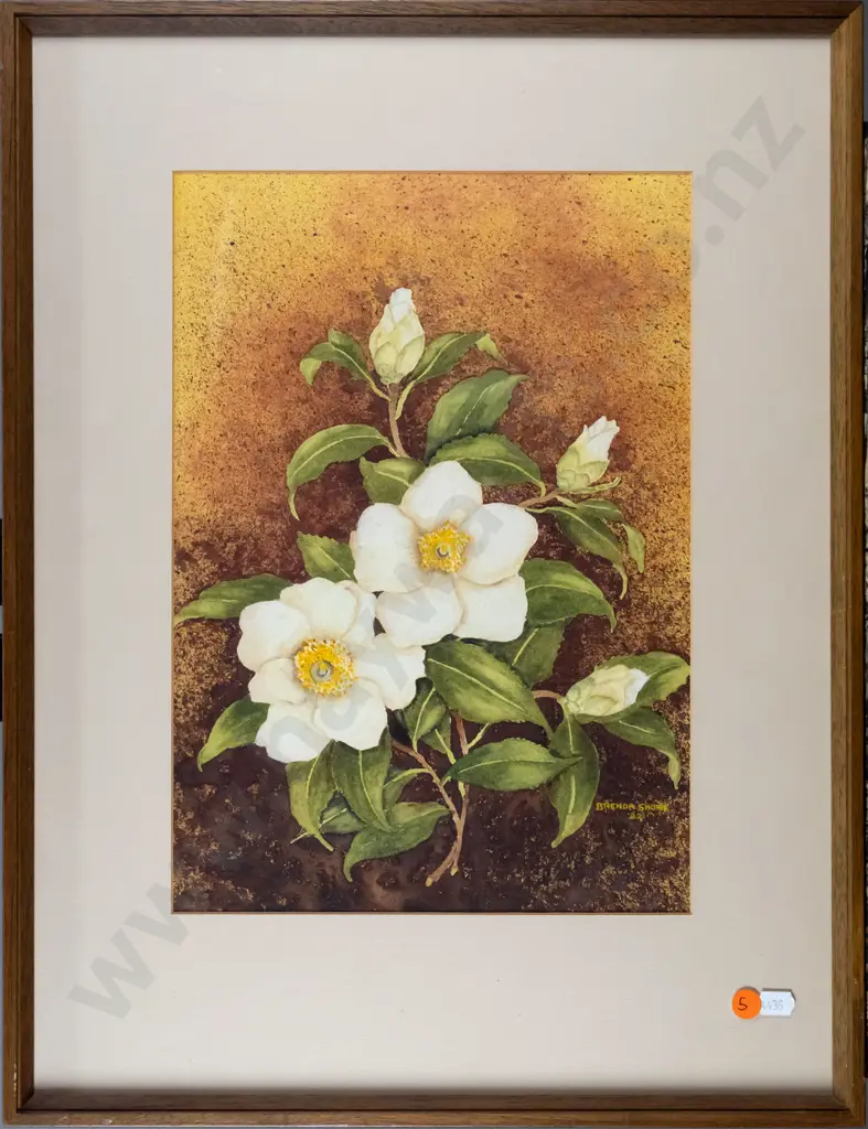 Brenda Shore - framed watercolour "White single camelia" H-350 W-240 Image 1++