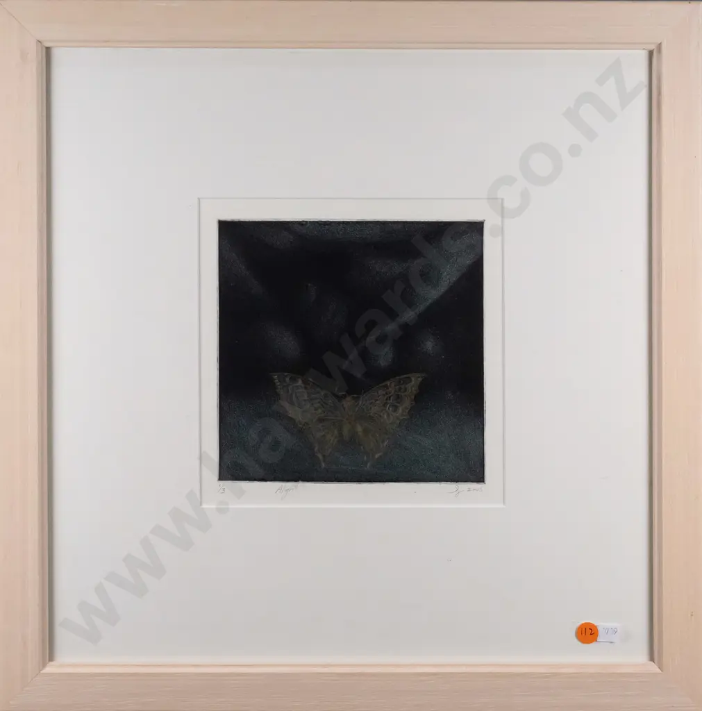 S 2005 - framed ltd edition print 1/3 "Alight" H-170 W-170 Image 1++
