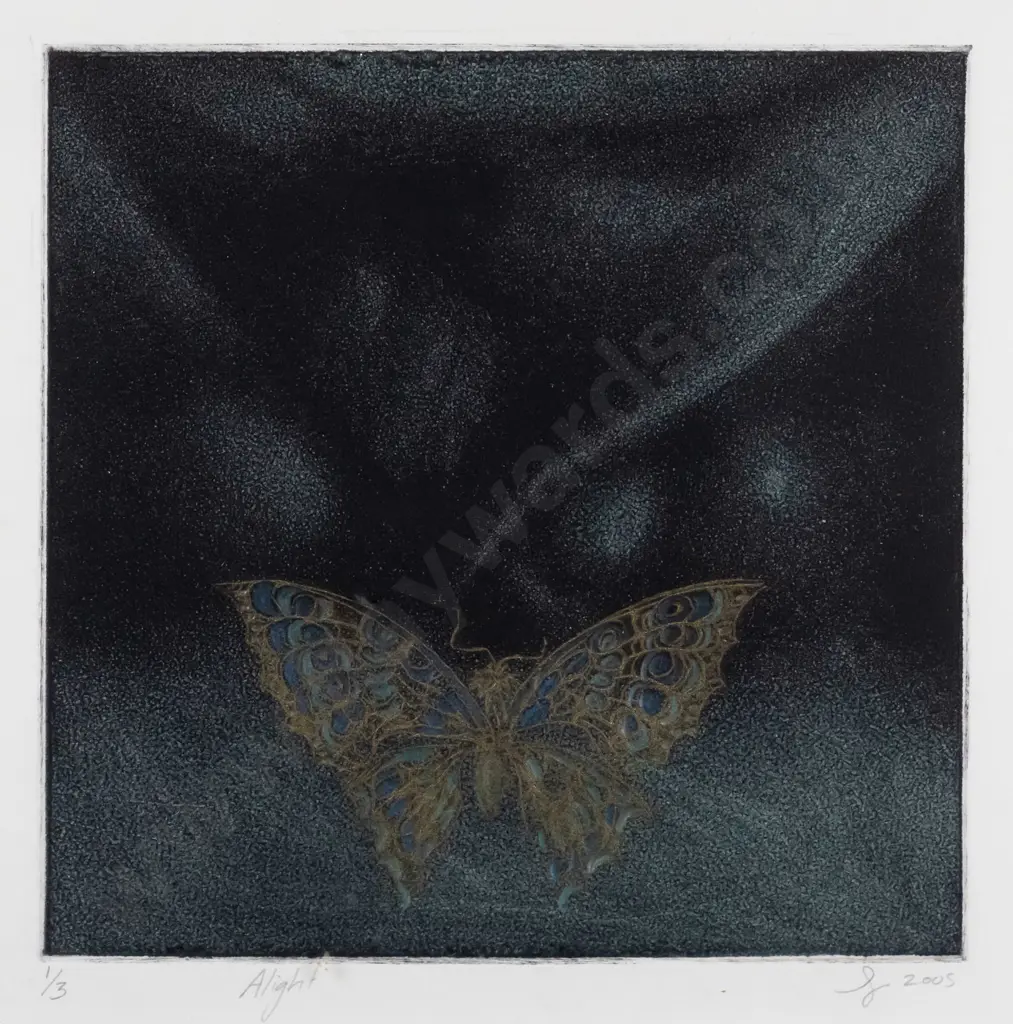 S 2005 - framed ltd edition print 1/3 "Alight" H-170 W-170 Image 1++
