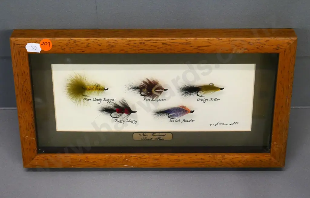 5 mounted New Zealand trout flies in wooden frame H-180 W-330 Image 1++