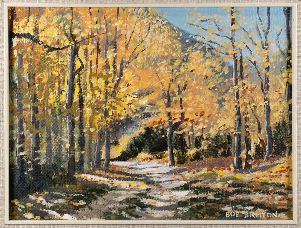 Bob Britton - framed oil "Macetown Track" H-290 W-380 Image 1++