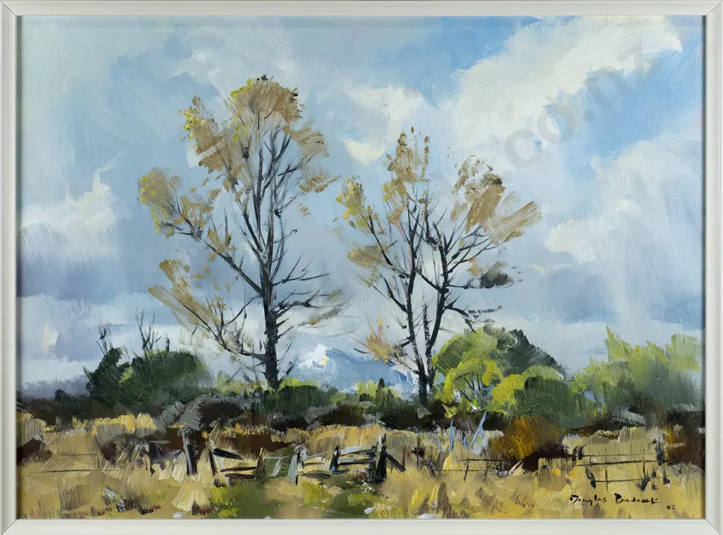Douglas Badcock 1983 - framed oil  "Spring McKenzie Country near Lake Ohau" H-360 W-500 Image 1++