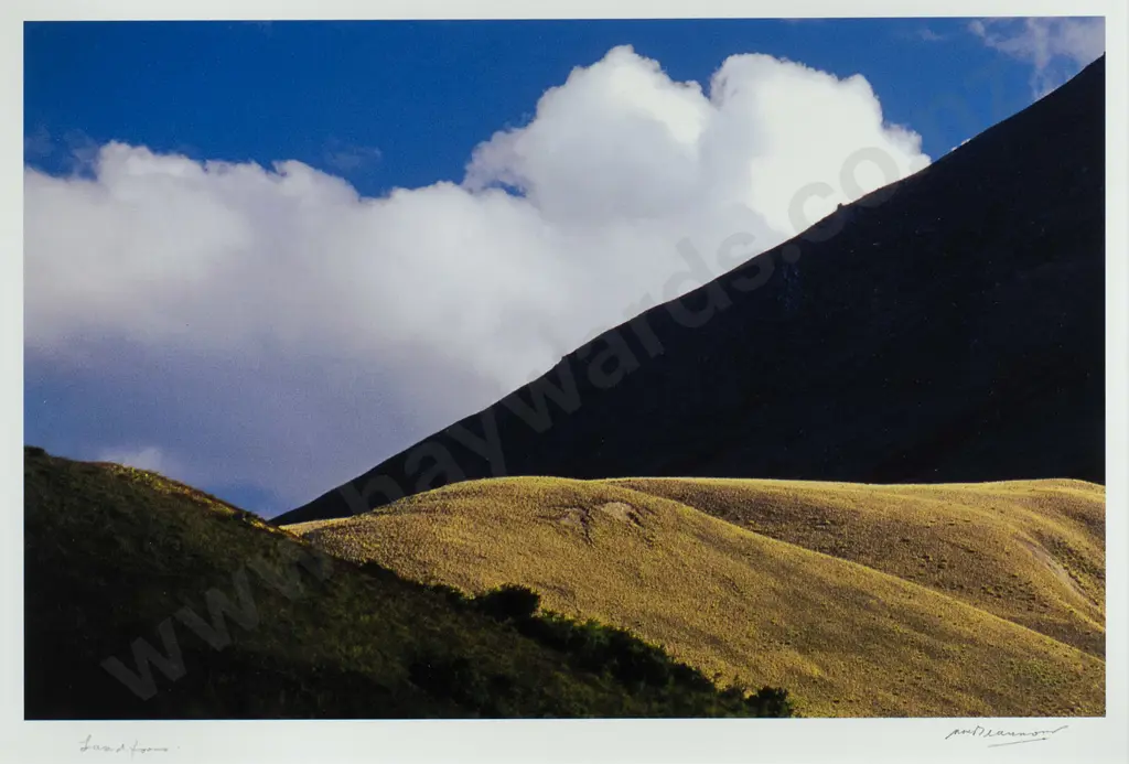 Matheson Beaumont - framed photograph "Landforms" H-250 W-380 Image 1++