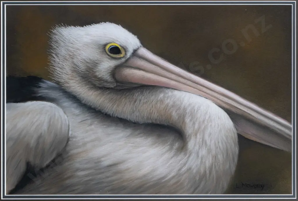 Linda Mowbray - framed watercolour - pelican H-290 W-430 Image 1++