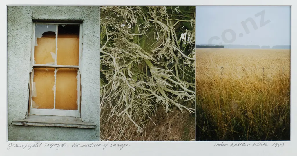 Helen Watson White 1999 - framed photograph "Green/Gold Triptych - the nature of change" H-125 W-260 Image 1++