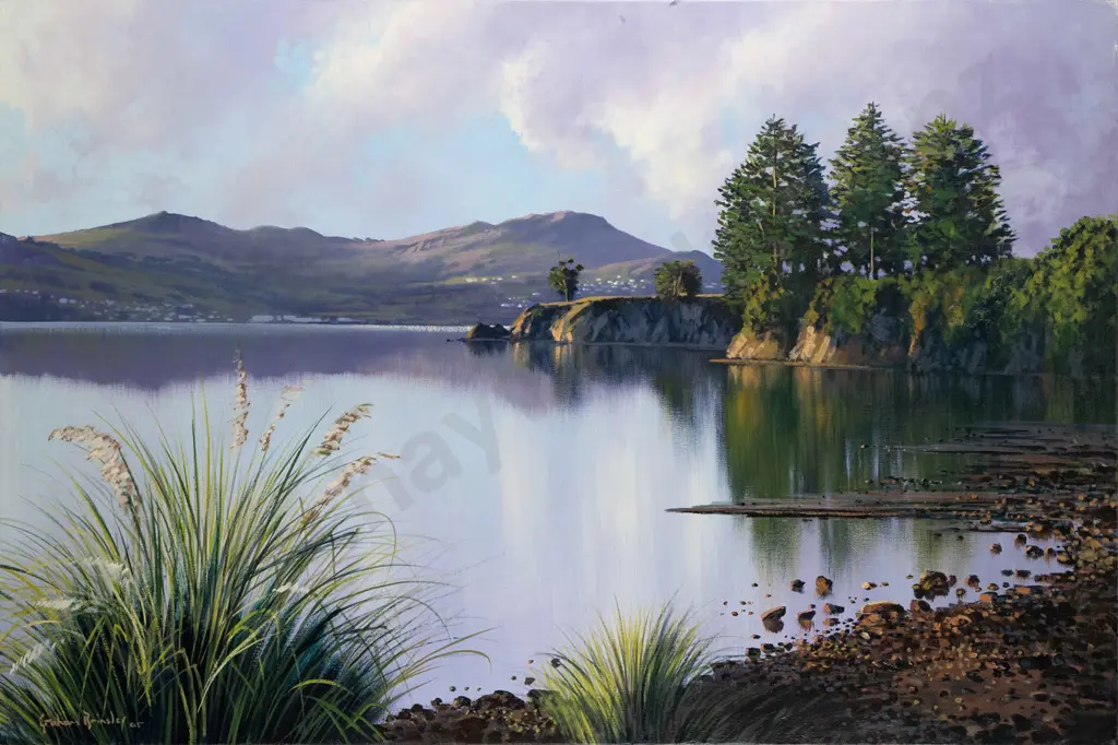 Graham Brinsley '05 - boxed oil on canvas "Otago Harbour" H-610 W-920 Image 1++