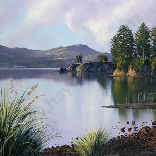 Graham Brinsley '05 - boxed oil on canvas "Otago Harbour" H-610 W-920