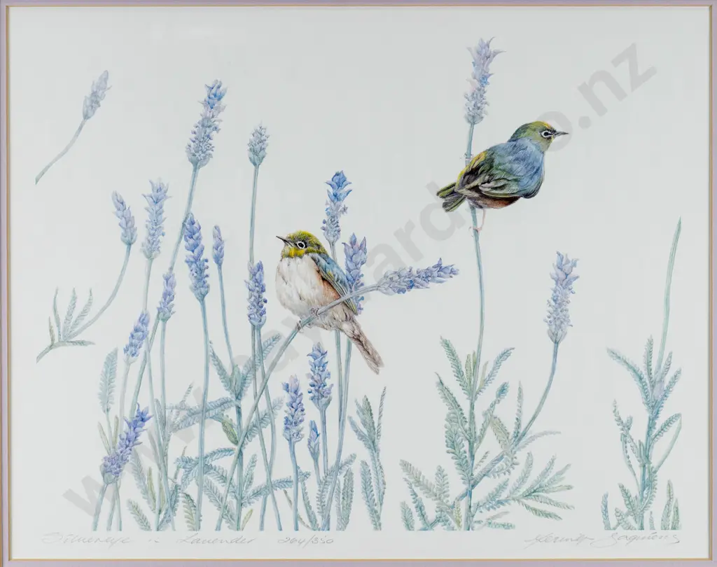 Merrilyn Jaquiery - framed ltd edition print 264/350 "Silver Eye in lavender H-290 W-390 Image 1++