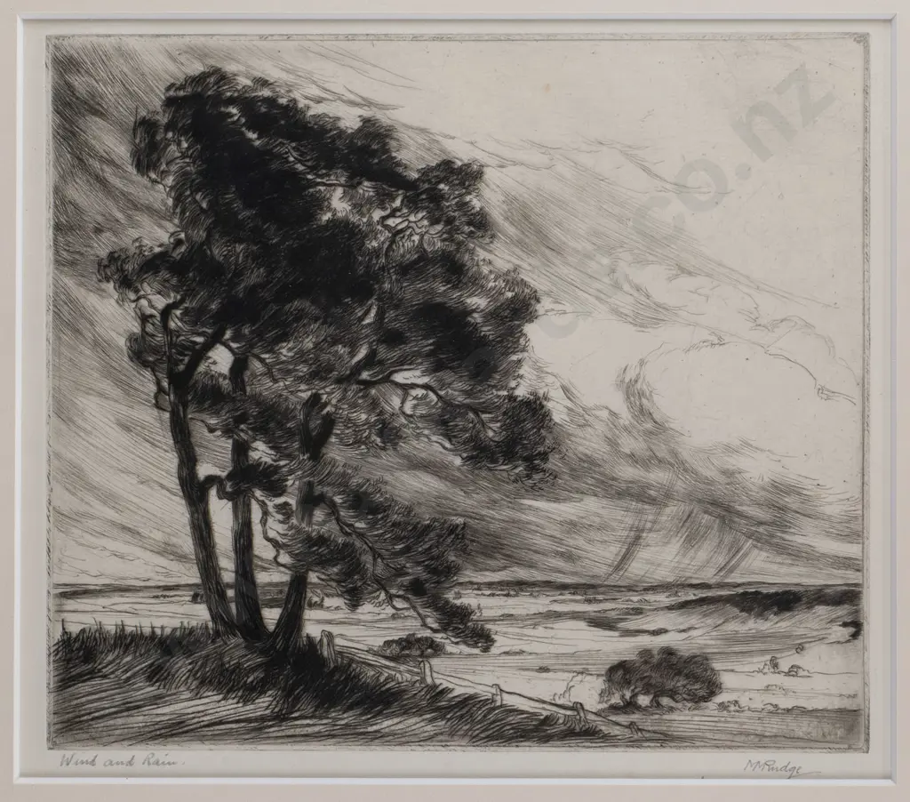 M Rudge - framed etching  "Wood and Rain" H-150 W-170 Image 1++