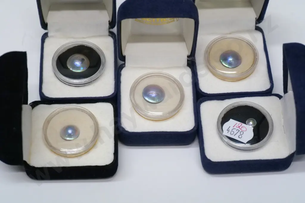 5 asstd paua pearl stones Image 1++