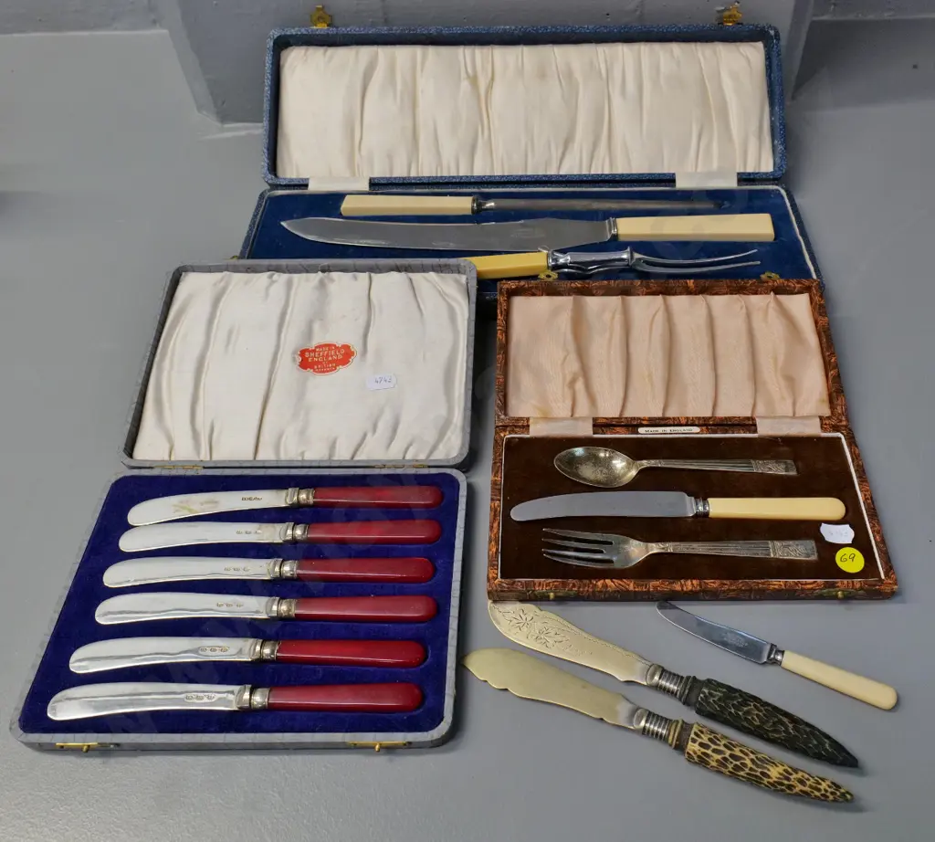 boxed EPNS cutlery - bone-handled carving set, 6 composite handled fruit knives, child's set, and 3 odd knives Image 1++
