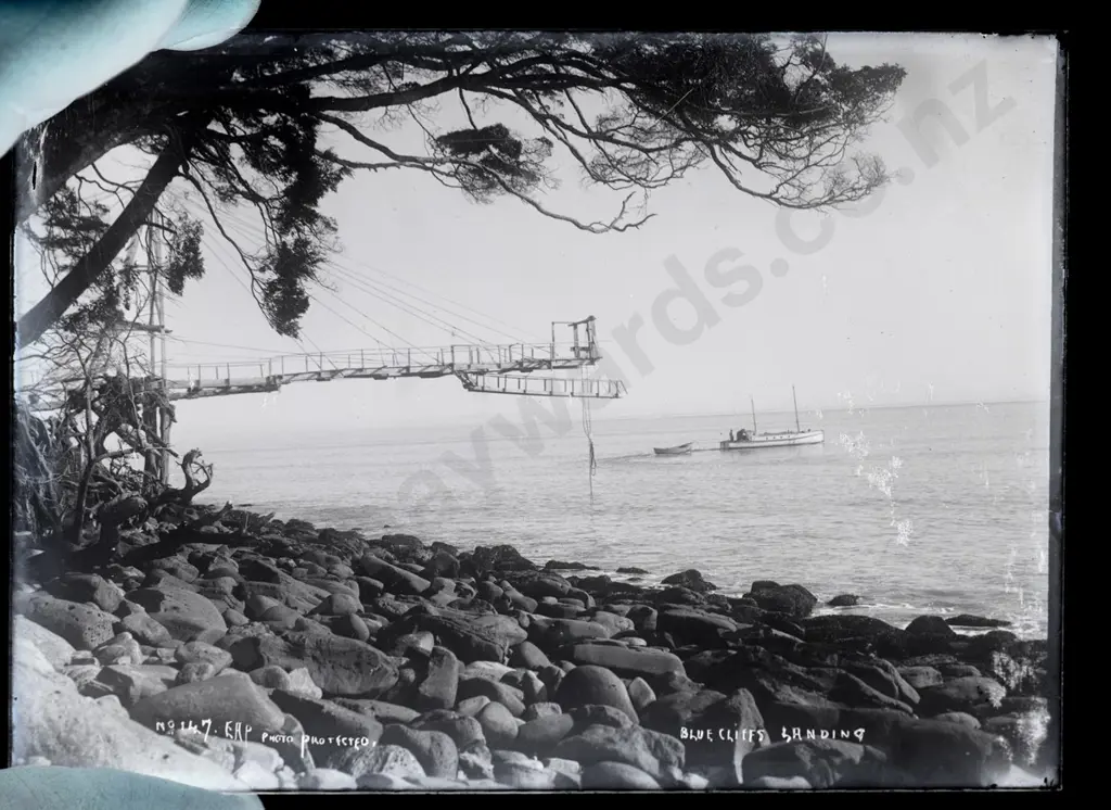 EA Philips studio? 3 boxes glass plate negatives: whaling, bush sawmill, Bluecliffs Landing, etc. Image 1++