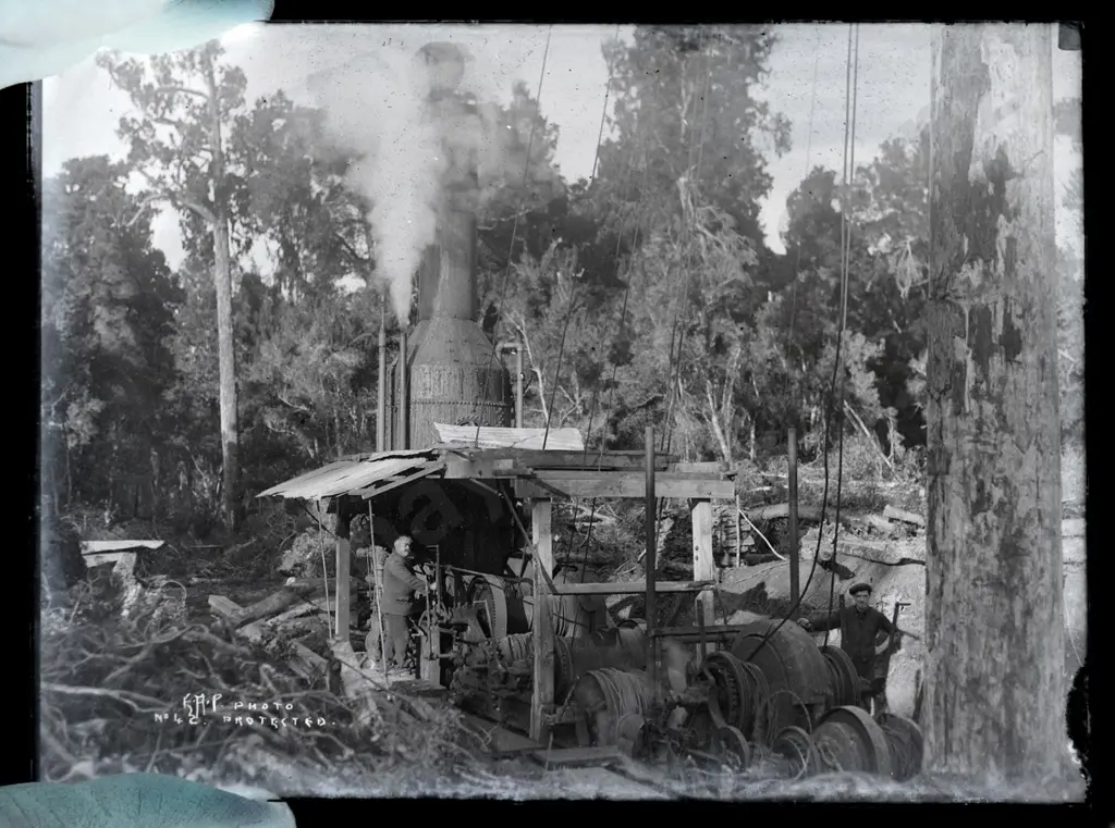 EA Philips studio? 3 boxes glass plate negatives: whaling, bush sawmill, Bluecliffs Landing, etc. Image 1++
