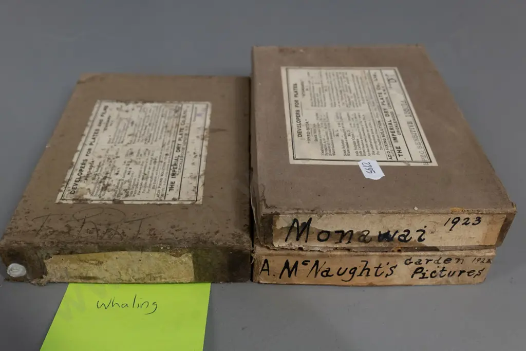 EA Philips studio? 3 boxes glass plate negatives: whaling, bush sawmill, Bluecliffs Landing, etc. Image 1++