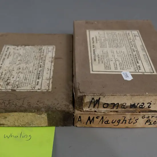 EA Philips studio? 3 boxes glass plate negatives: whaling, bush sawmill, Bluecliffs Landing, etc.
