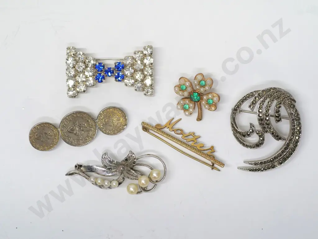 'mother' brooch silver lined & 5 asstd costume broohes Image 1++