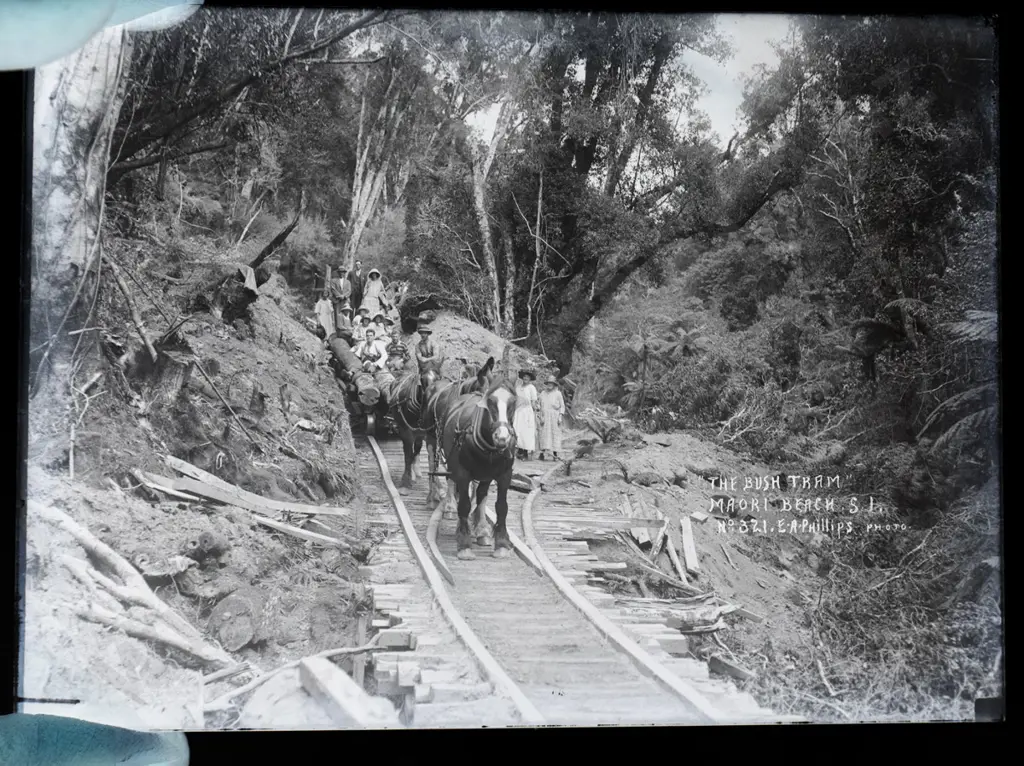EA Philips studio? 3 boxes glass plate negatives: Maori Beach bush logging, 1923/4 Drummond ploughing match etc. Image 1++