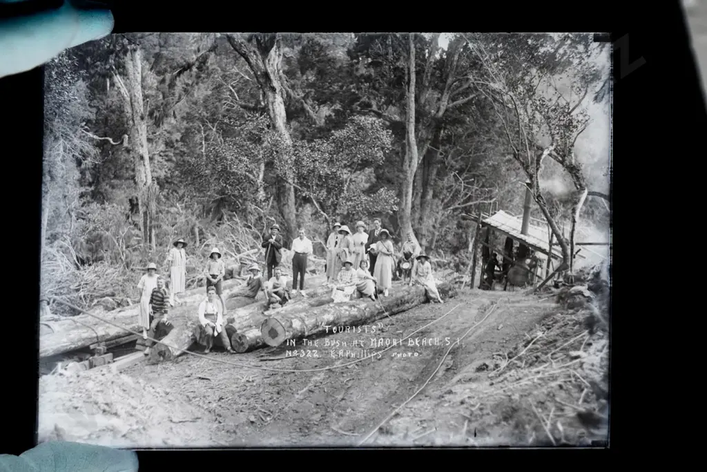 EA Philips studio? 3 boxes glass plate negatives: Maori Beach bush logging, 1923/4 Drummond ploughing match etc. Image 1++