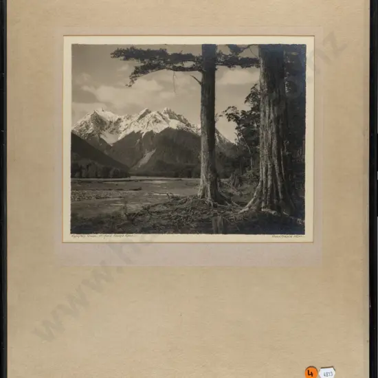 George Chance - framed black and white photograph "Eglinton River Milford Sound Road" H-200 W-
