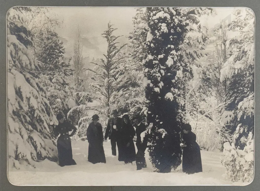 framed vintage black and white photograph - Queenstown Gardens? winter scene (slight fading)  (H-300 W-410 Image 1++