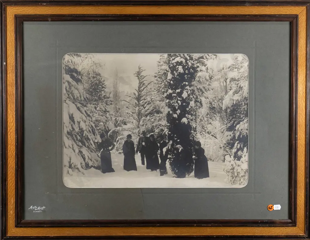 framed vintage black and white photograph - Queenstown Gardens? winter scene (slight fading)  (H-300 W-410 Image 1++