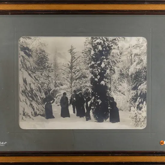 framed vintage black and white photograph - Queenstown Gardens? winter scene (slight fading)  (H-300 W-410