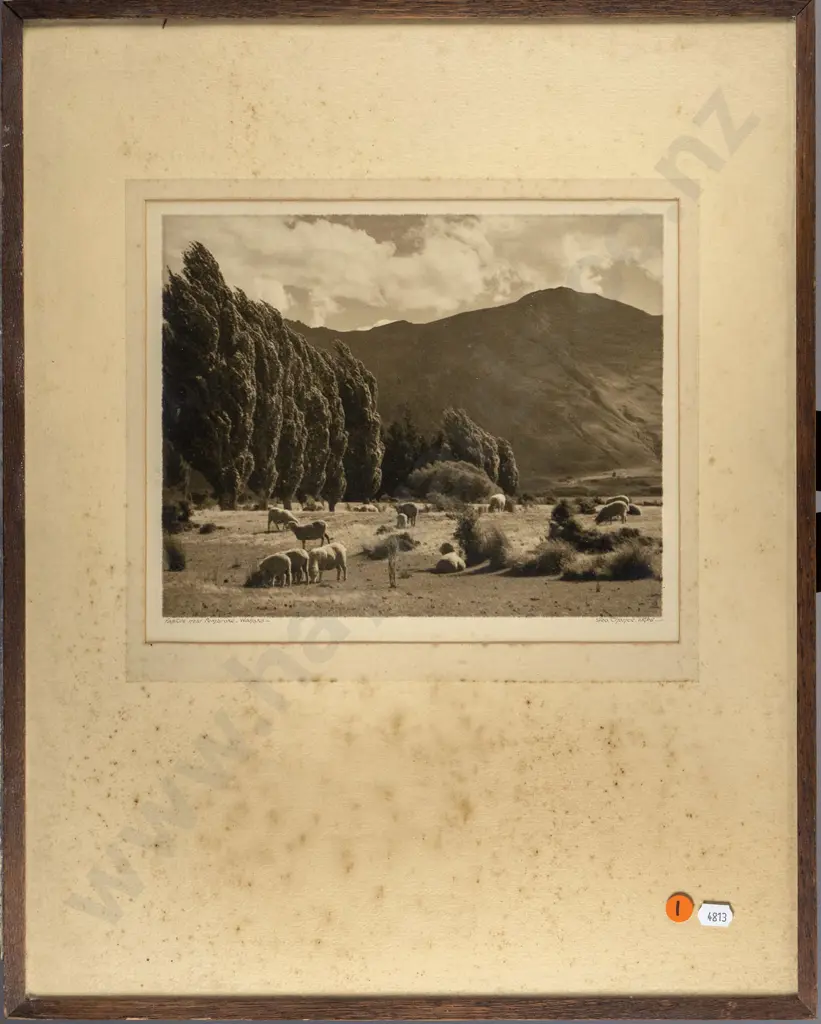 George Chance - framed black and white photograph "Pasture near Pembroke Wanaka" (extensive foxing to surround) H-200 W- Image 1++