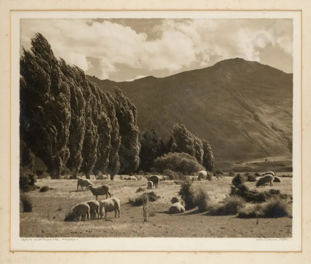 George Chance - framed black and white photograph "Pasture near Pembroke Wanaka" (extensive foxing to surround) H-200 W- Image 1++