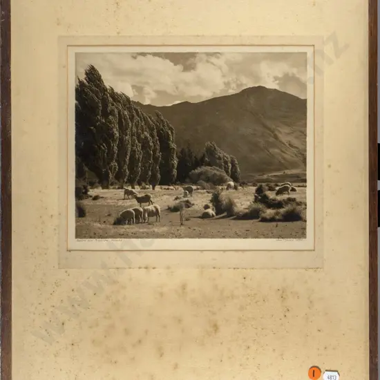 George Chance - framed black and white photograph "Pasture near Pembroke Wanaka" (extensive foxing to surround) H-200 W-