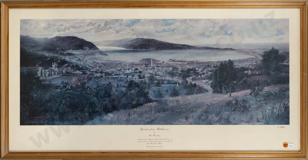 framed historic print - Dunedin From Belleknowles H-290 W-730 Image 1++