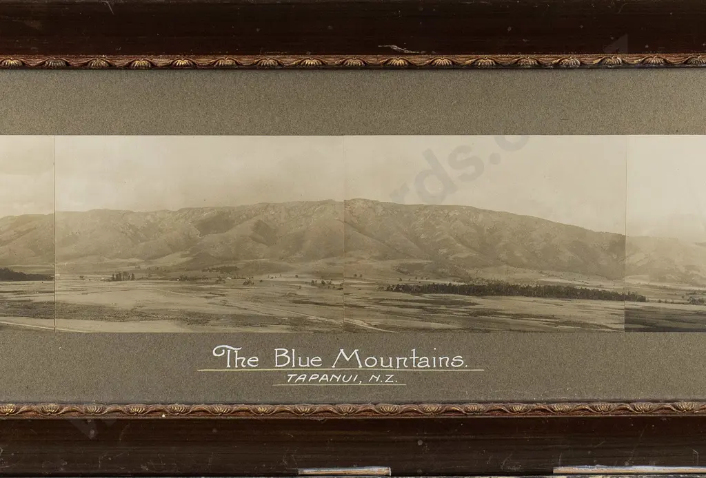 framed black and white panoramic photographs " The Blue Mountains Tapanui" (damage to areas of frame) H-100 W-590 Image 1++