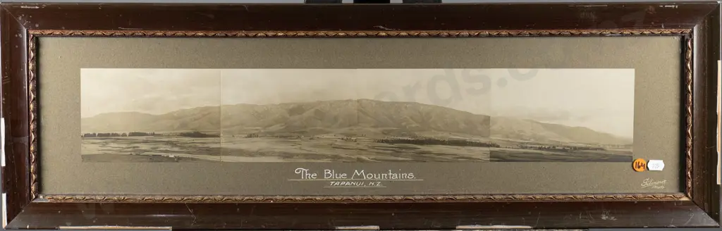 framed black and white panoramic photographs " The Blue Mountains Tapanui" (damage to areas of frame) H-100 W-590 Image 1++