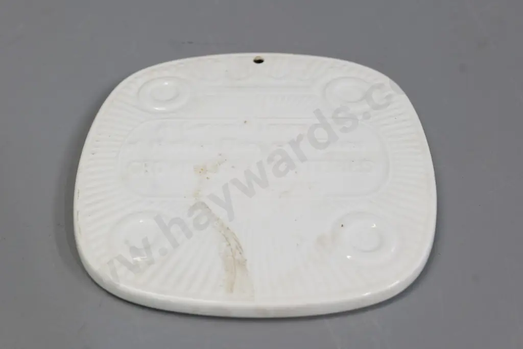 Crown Lynn decorative wall tile with NZ native animal motifs - has had hole drilled in top140 x 140 Image 1++