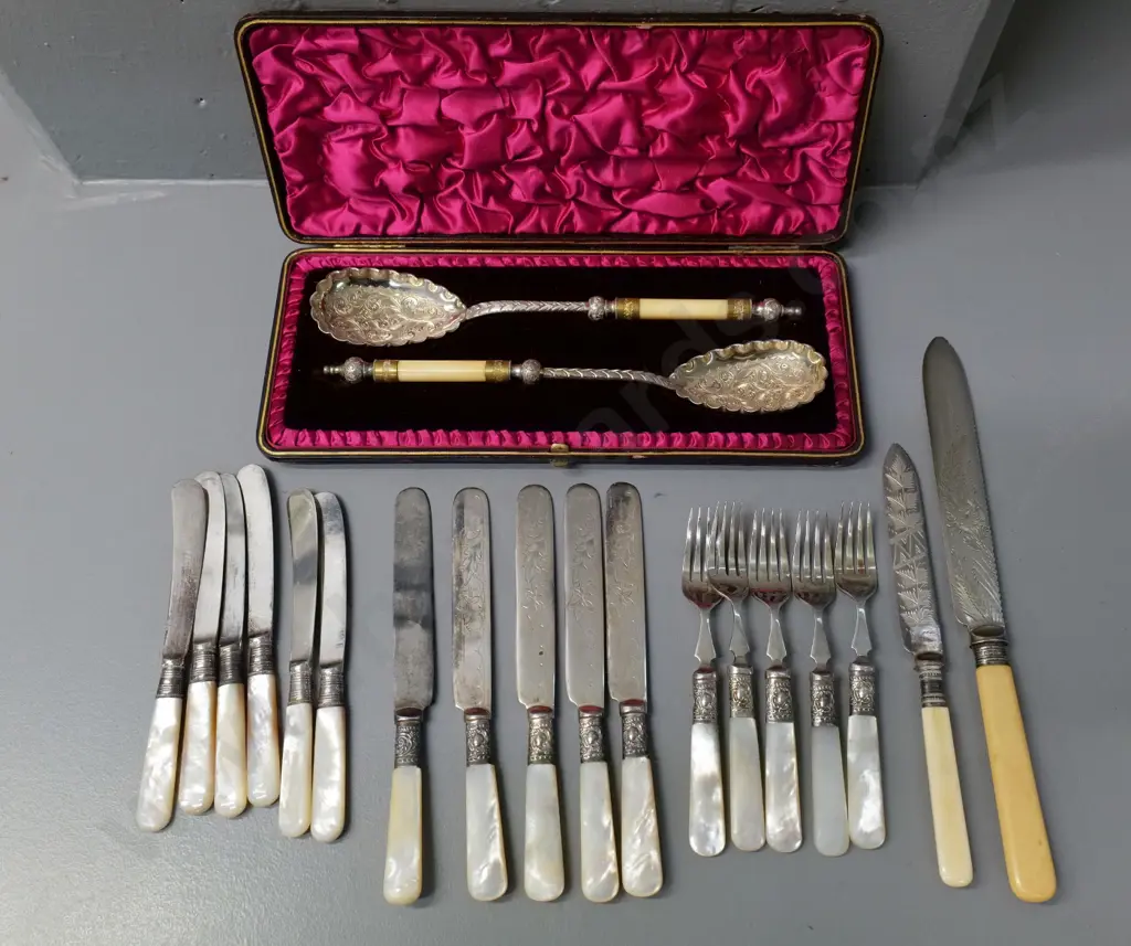 vintage mother of pearl handled fruit set and several bone handled serving items including cased spoons Image 1++