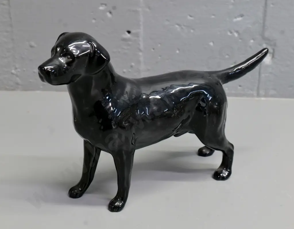 Beswick dog figurine - black Labrador retriever H-140 L-210 Image 1++