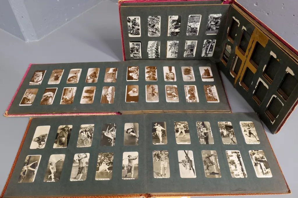 2 pieces 1925-26 Dunedin Exhibition ware and 3 Three Castles cigarette card albums with partial contents Image 1++