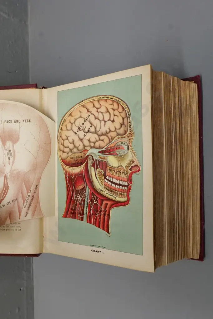 large illustrated medical book - Medicology - Richardson, pub. 1908 University Medical Society Image 1++