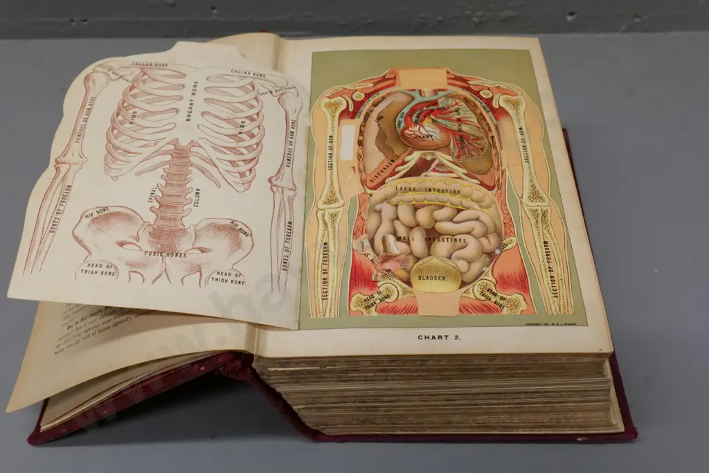 large illustrated medical book - Medicology - Richardson, pub. 1908 University Medical Society Image 1++