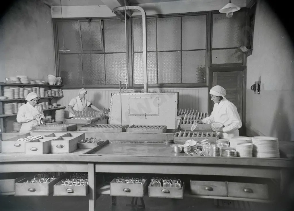 E.A. Philips studio? 3 boxes of glass plate negatives - Savoy Hotel, Southland, Farra Bros. Grand Hotel etc Image 1++