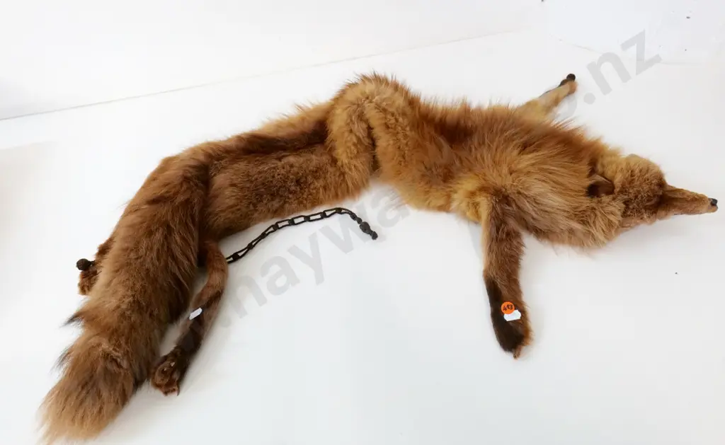 brown fox fur L-1140 Image 1++