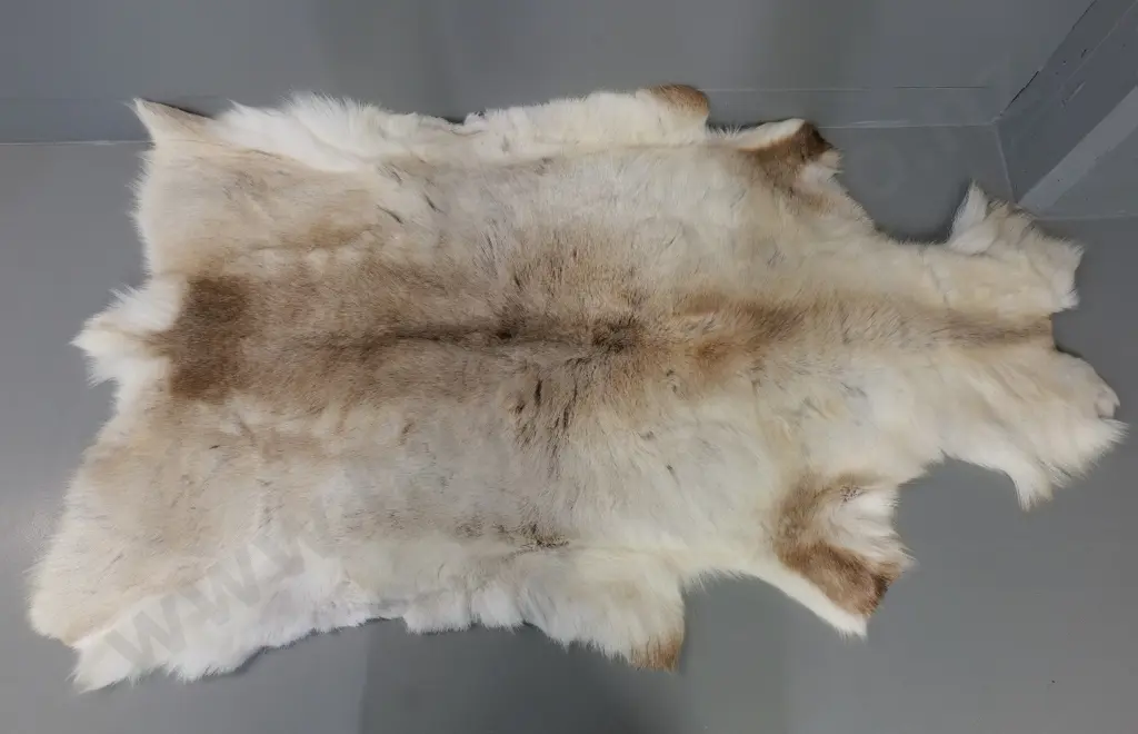 reindeer hide with Maison D'Or label - L-1450 W-820 Image 1++