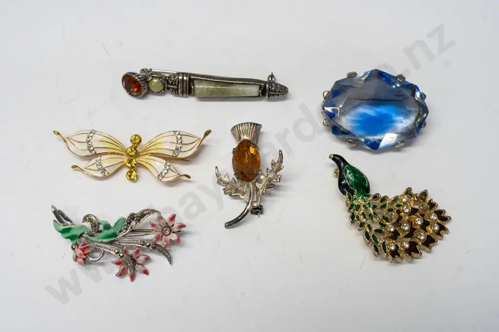 6 asstd costume brooches Image 1++