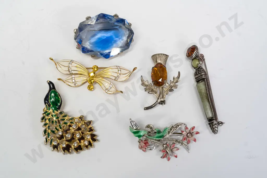 6 asstd costume brooches Image 1++