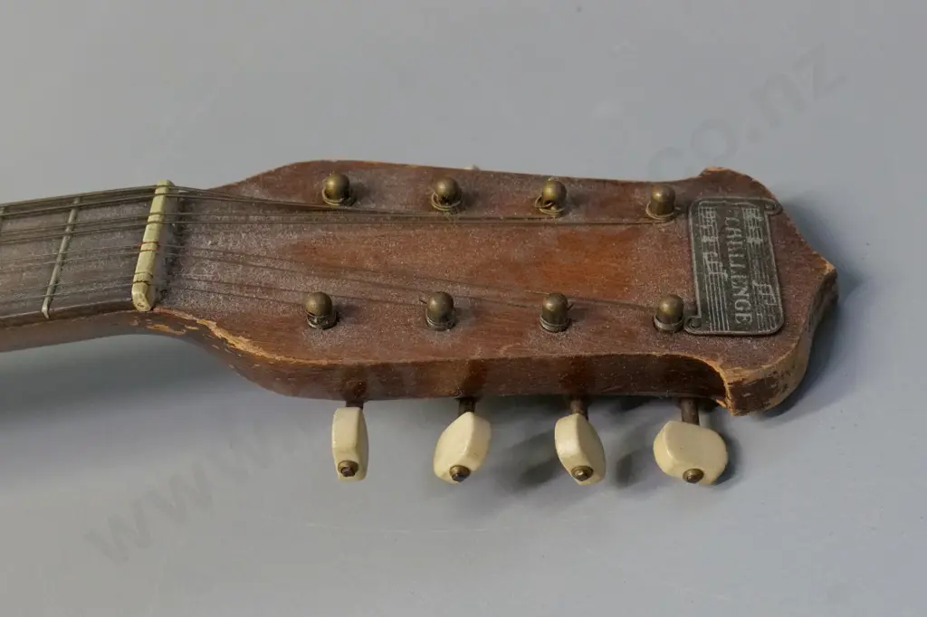 'Challenge' banjo mandolin with wood frame, etched brass resonator/back L-570 back diameter 240 Image 1++