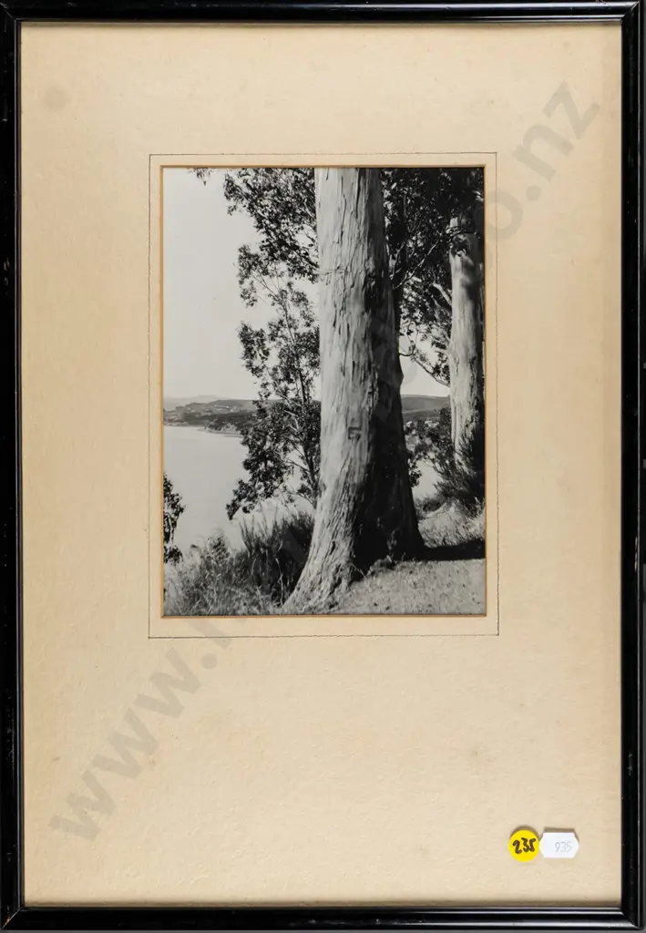 unsigned framed vintage black and white photograph  - view through trees H-200 W-150 Image 1++