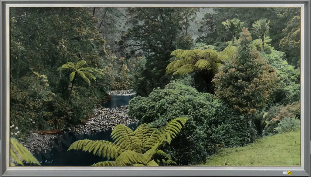 framed Whites Aviation hand coloured photograph "New Zealand Bush" H-540 W-1000 Image 1++