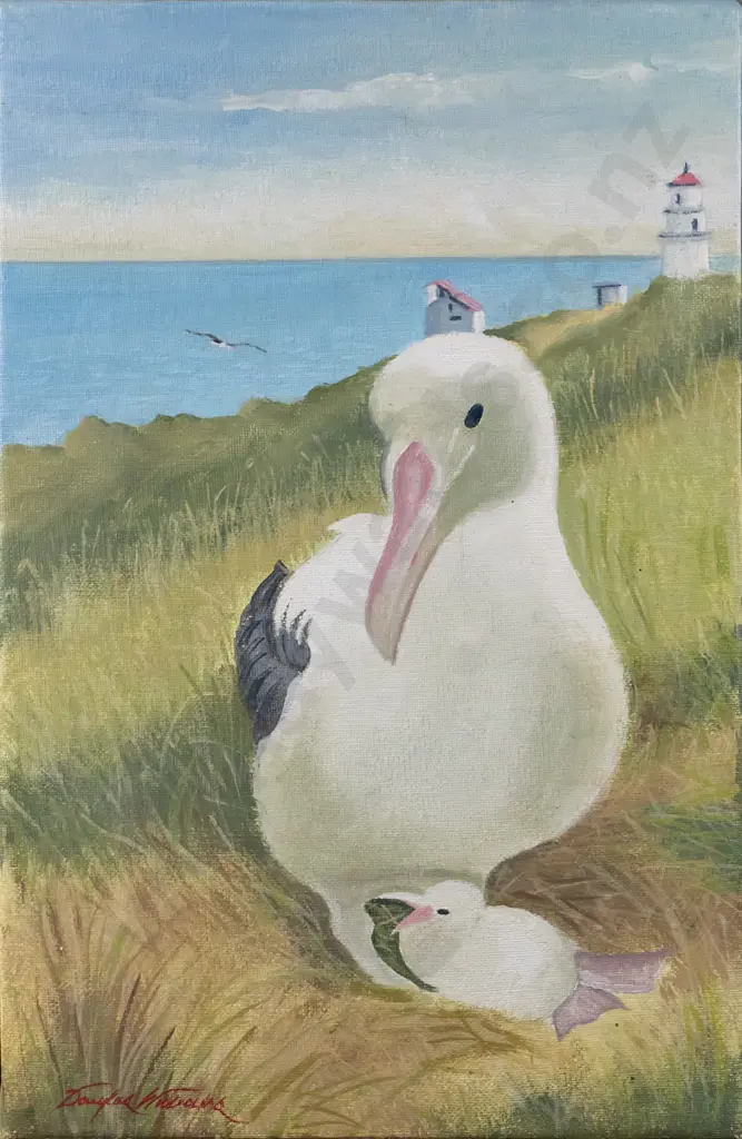 illegible signature - boxed acrylic -albatros at Taiaroa Head H-300 W-200 Image 1++
